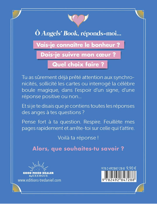 Angels - Answers book